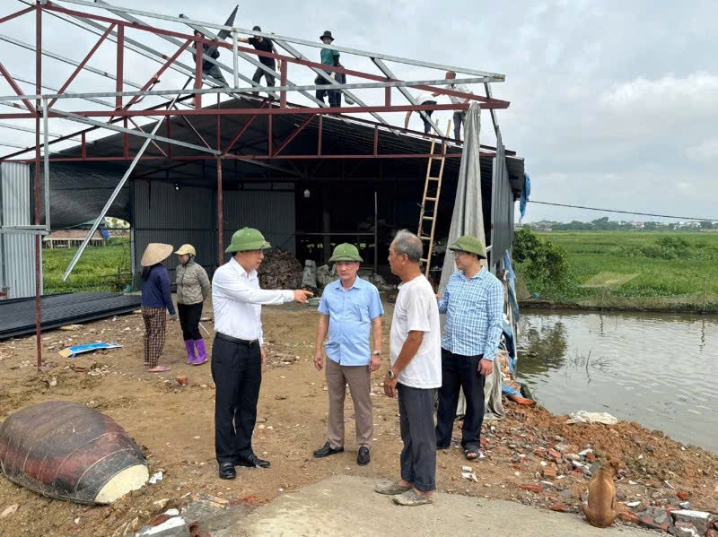 xây nhà lấn đất