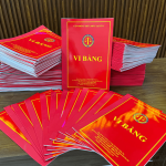 vi-bang-min